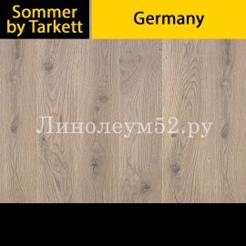 Дизайн ламината Sommer by Tarkett Ламинат 8/32 - GERMANY / ДУБ ГАННОВЕР 504110022