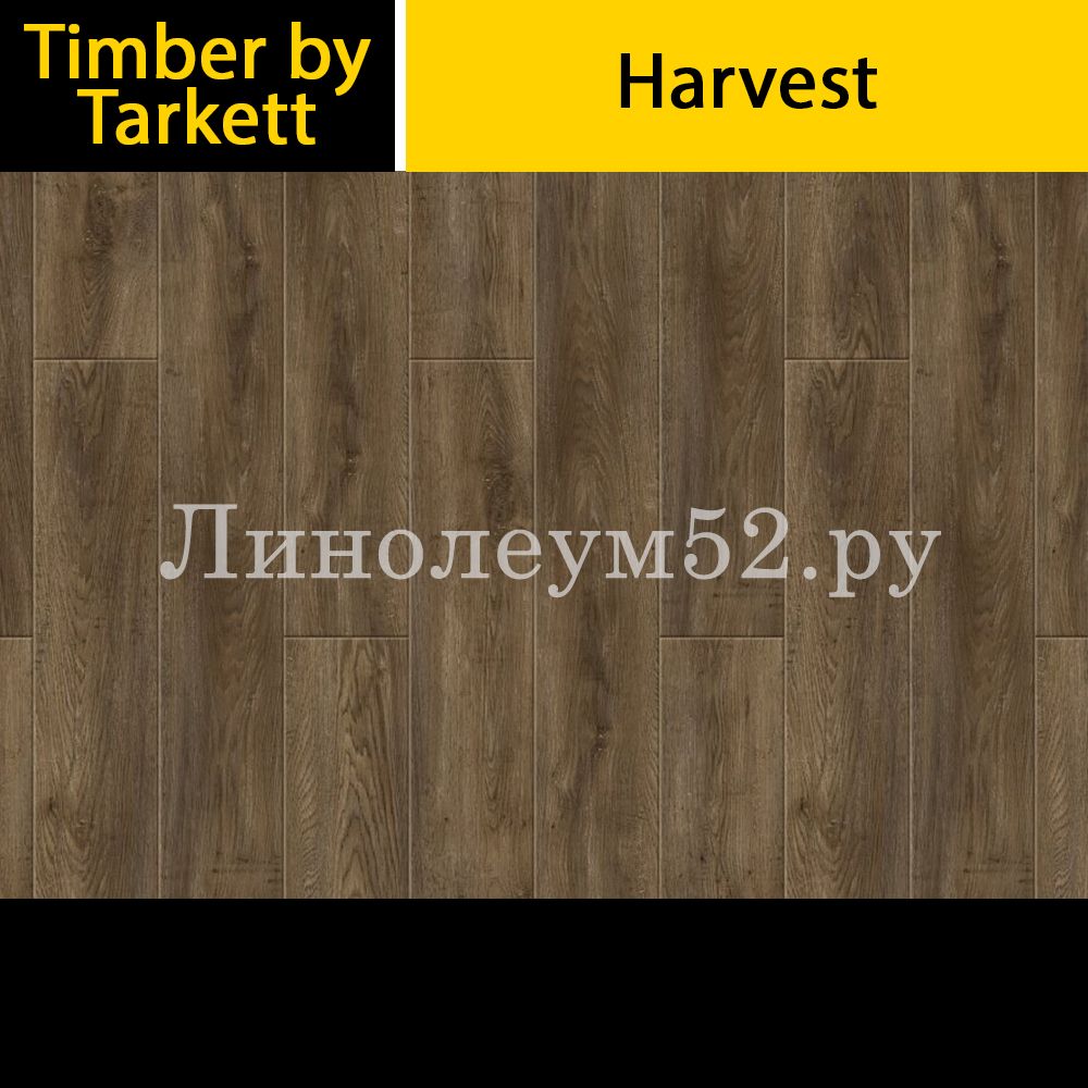Дизайн ламината Forester 10/33 4V Timber by Tarkett Ламинат Forester 10/33 4V - Дуб Таман Коричневый