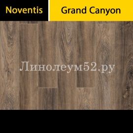 Noventis - Grand Canyon (1200*180*4) Noventis Виниловые полы SPC - NOVENTIS / ДУБ КОЛОРАДО 2000