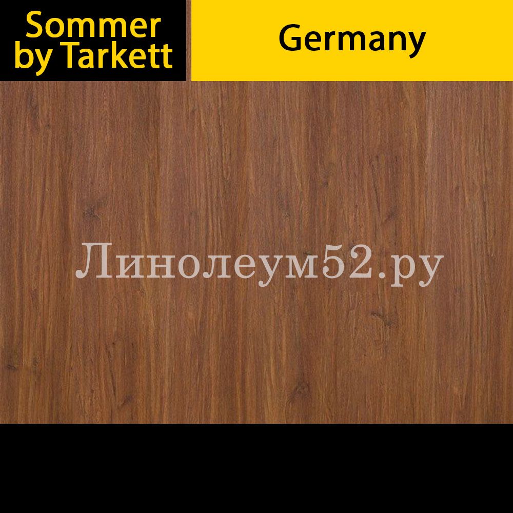 Дизайн ламината Ламинат - GERMANY 8/32 / Sommer by Tarkett Sommer by Tarkett Ламинат 8/32 - GERMANY / ДУБ ДРЕЗДЕН 504110005