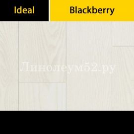 Дизайн ламината Ideal Ламинат Blackberry 12/33 4V - Дуб Баноффи