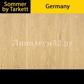 Дизайн ламината Sommer by Tarkett Ламинат GERMANY 8/32 - Дуб ГАМБУРГ