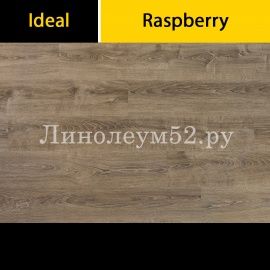Дизайн ламината Ideal Ламинат Raspberry 8/33 4V - Дуб Дымчатый