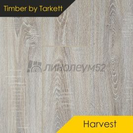 Дизайн - Timber Ламинат 8/33 4V - HARVEST / ДУБ ПРОВАНС 504472007