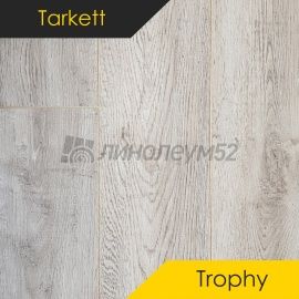 Дизайн - Tarkett Ламинат 8/33 4V - TROPHY / РОСАРИО 0537731