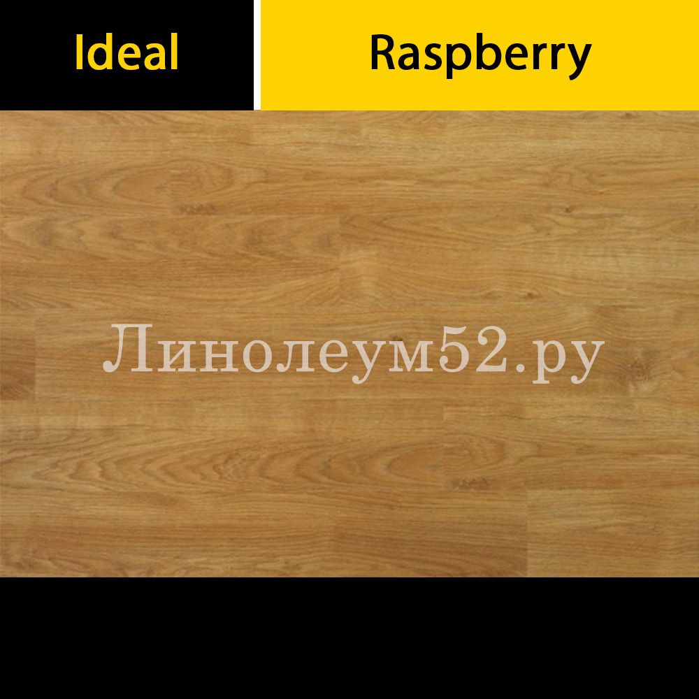 Дизайн ламината Raspberry 8/33 4V Ideal Ламинат Raspberry 8/33 4V - Дуб Мармелад