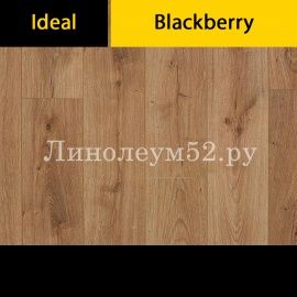 Дизайн ламината Ideal Ламинат Blackberry 12/33 4V - Дуб Пандоро 7090